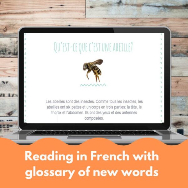 Les Abeilles French reading activity for Boom Cards™
