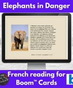 Elephants in Danger French reading