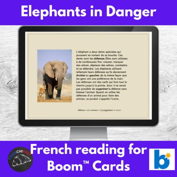 Elephants in Danger French reading