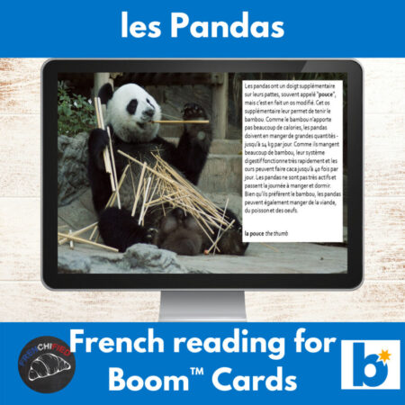 Pandas French reading activity