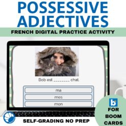 French plural possessive adjectives