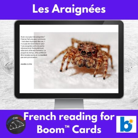 Spiders French reading