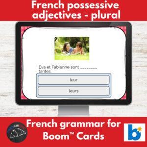 French plural possessive adjectives