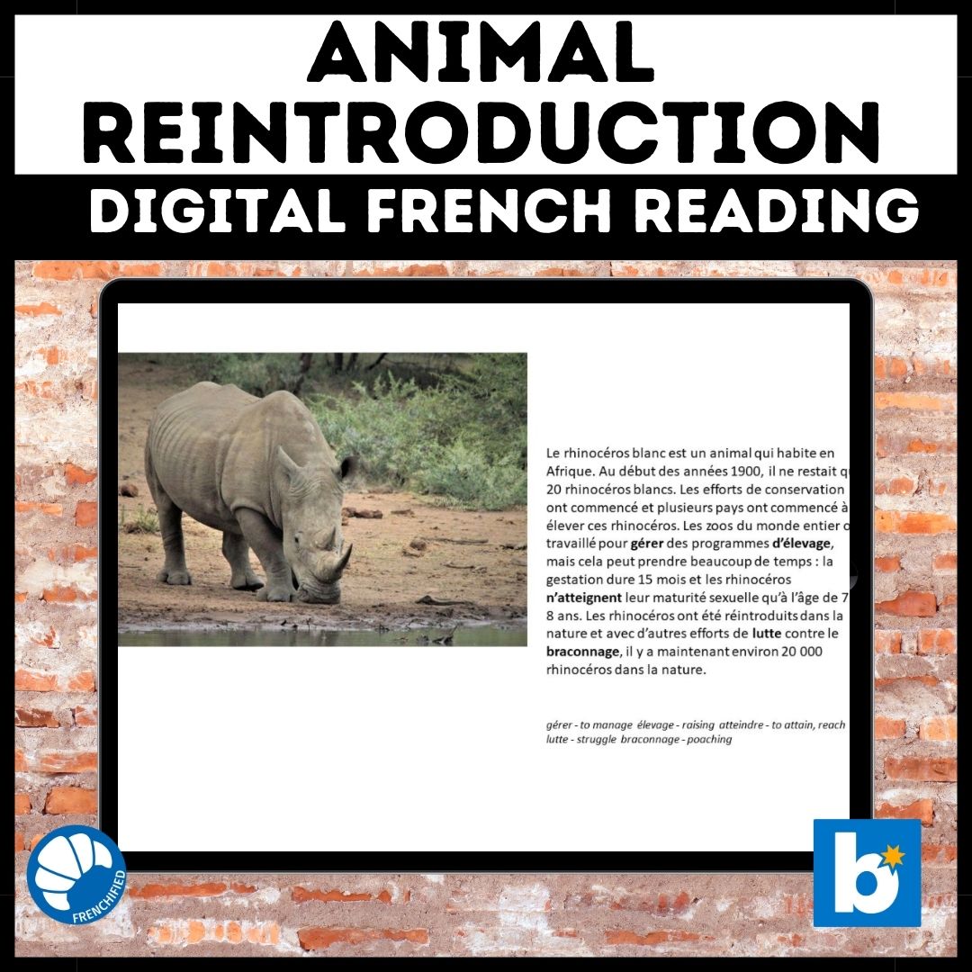 Animal Reintroduction French reading activity for Boom Cards™