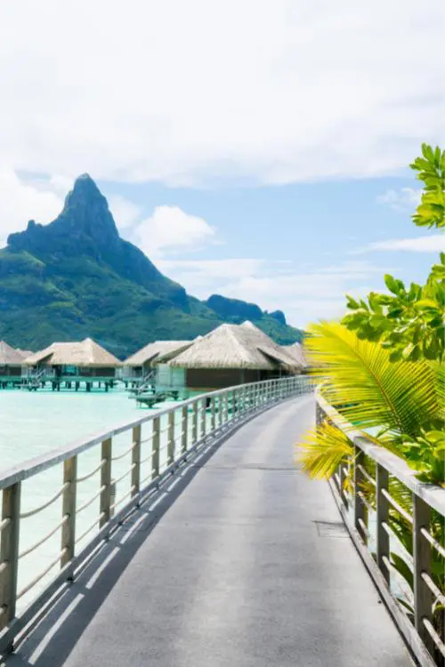 non-fiction CI lessons