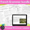 French grammar lessons