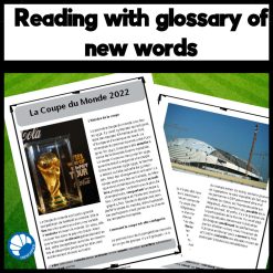 La Coupe du Monde World Cup 2022 French reading comprehension