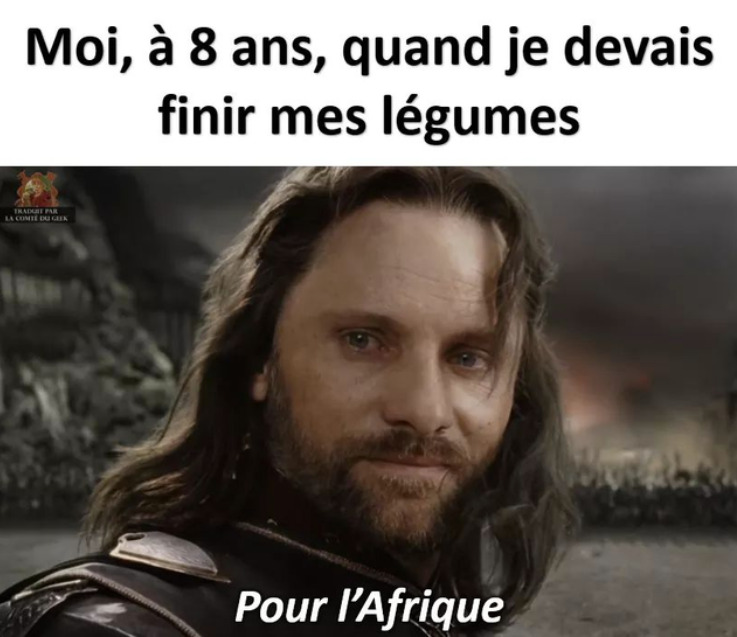 French memes - an authentic resource your students will love