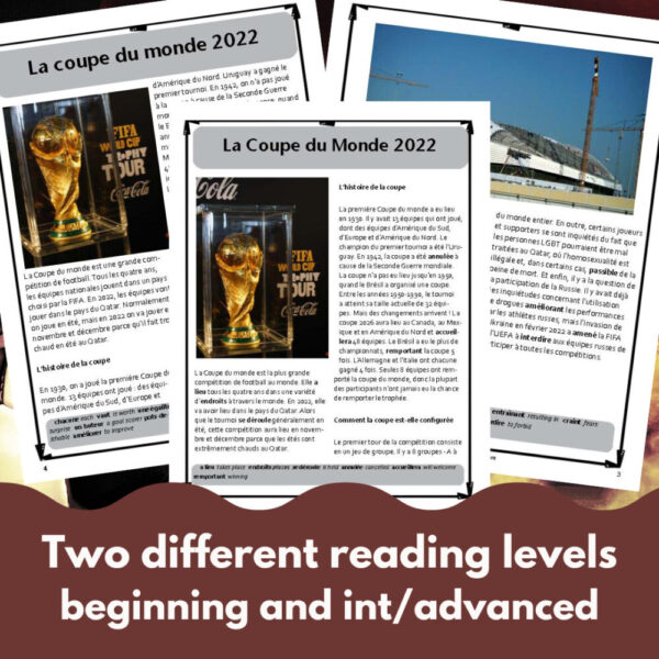 La Coupe du Monde World Cup 2022 French reading comprehension