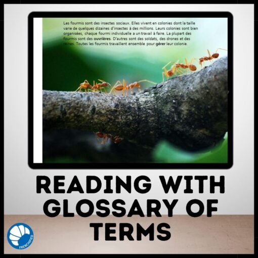 Ants Google drive French reading comprehension activity - Image 2