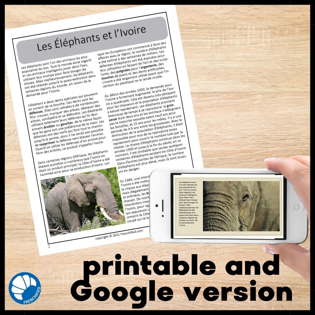 Alternative view of Elephants in danger bundle French reading print and Google™ drive