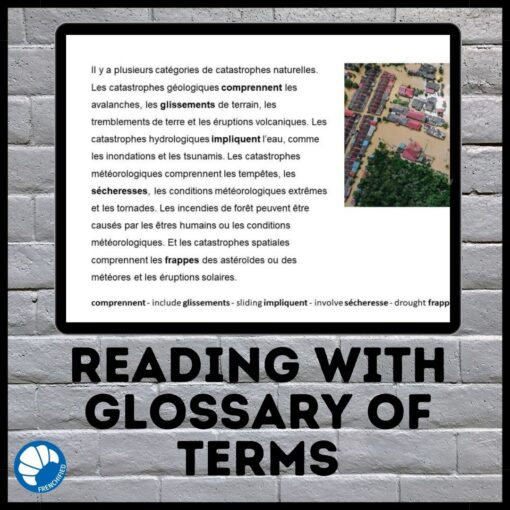 Natural disasters Google™ Drive French reading comprehension activity - Image 2