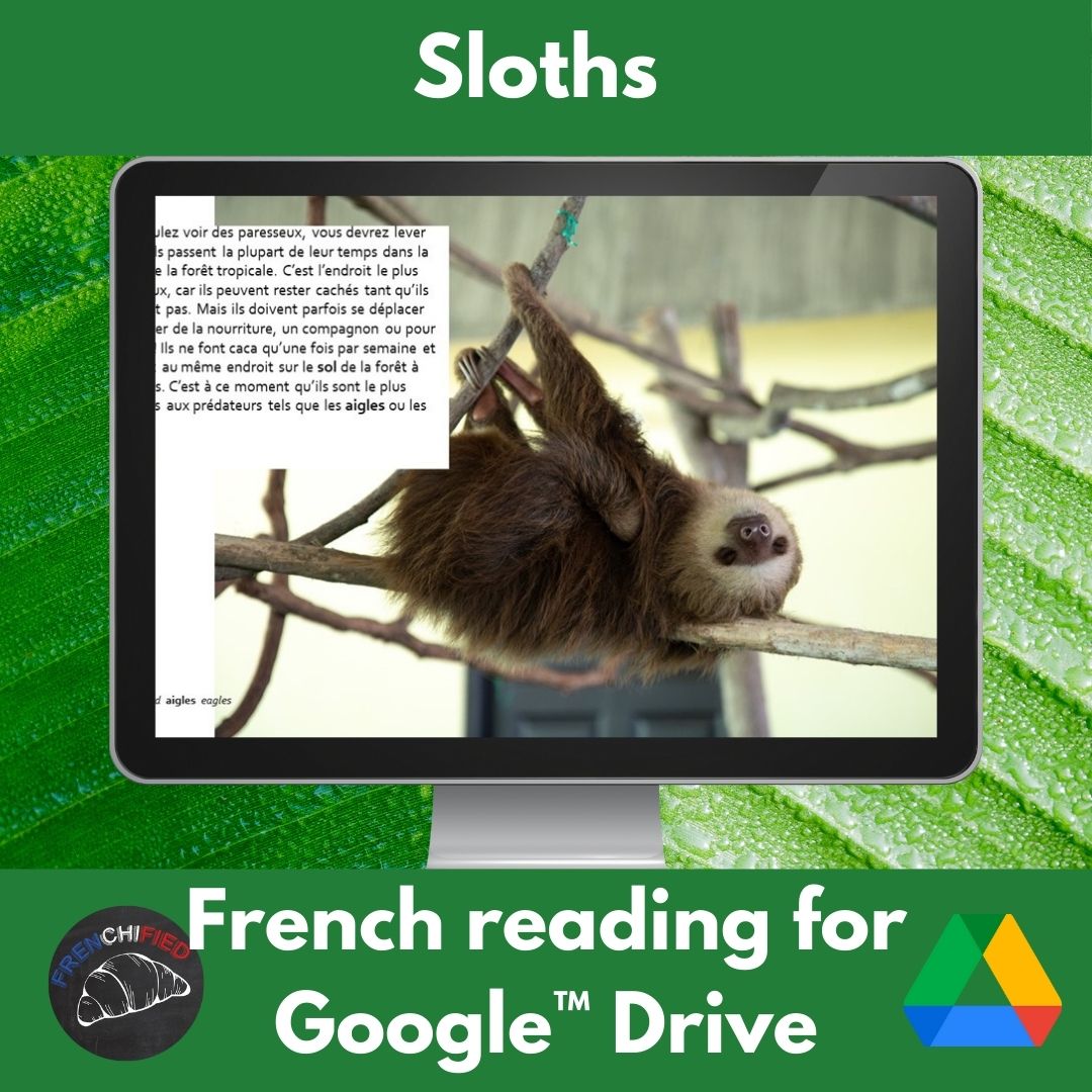 Sloths Google™ slides French reading comprehension activity