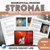 Stromae bundle French reading print and digital 11 Stromae bundle French reading