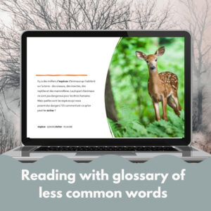 Dangerous animals Google™ Slides French reading comprehension activity