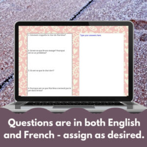 Le Chat Qui Pète Google Drive™ French reading comprehension activity