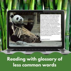 Pandas bundle French reading print and Google slides