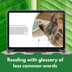 Sloths bundle French reading comprehension activity print and digital