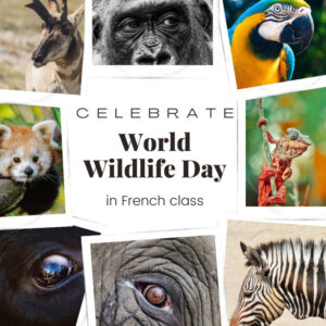 Celebrate World Wildlife day with these 5 animals