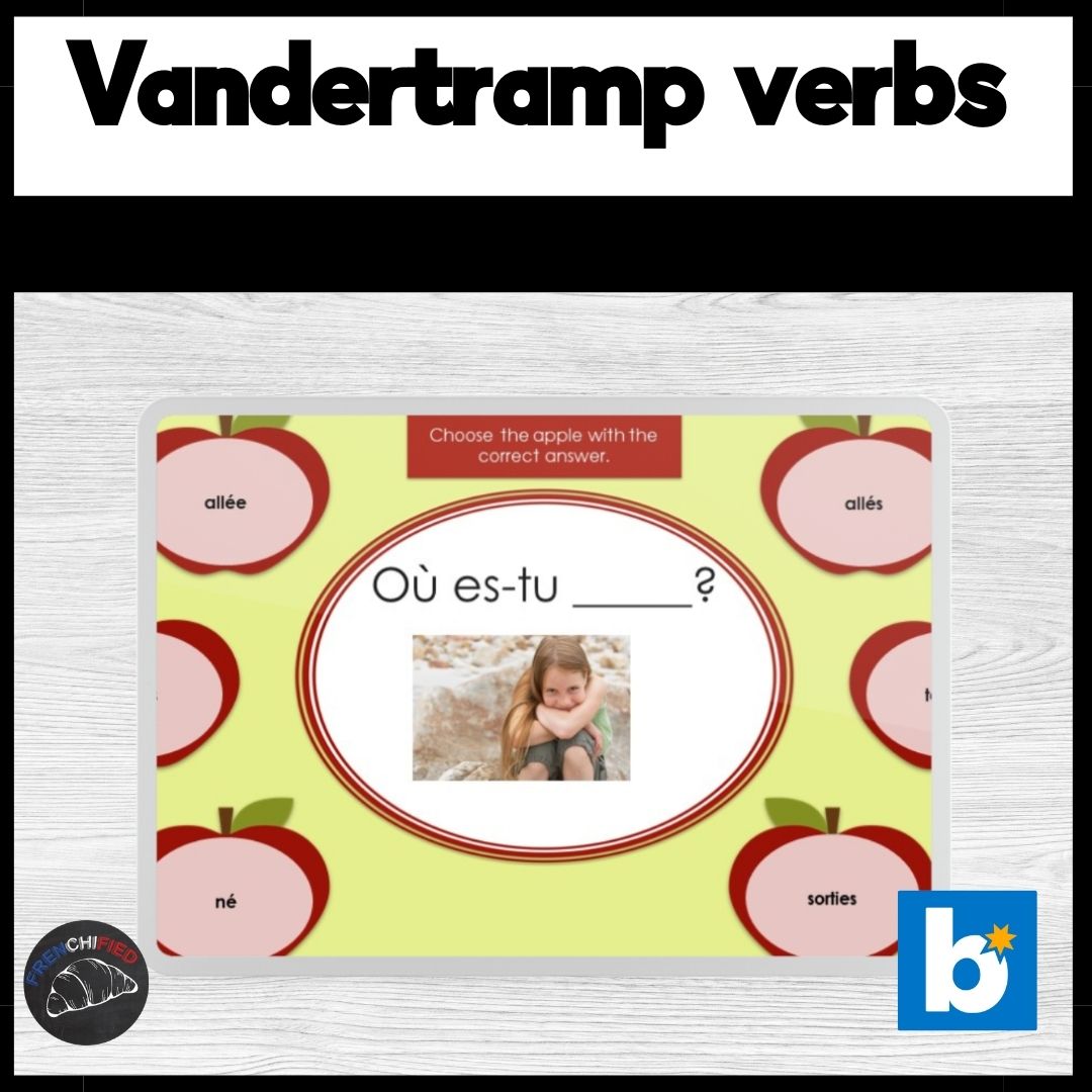 French Vandertramp verbs - Boom™ Cards