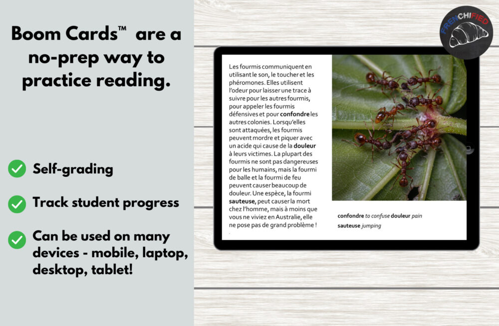 Ants for Boom™ cards French reading activity