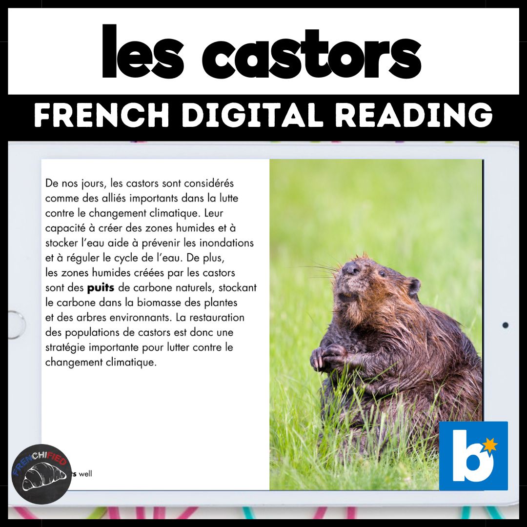 Beavers French reading comprehension for Boom™ cards