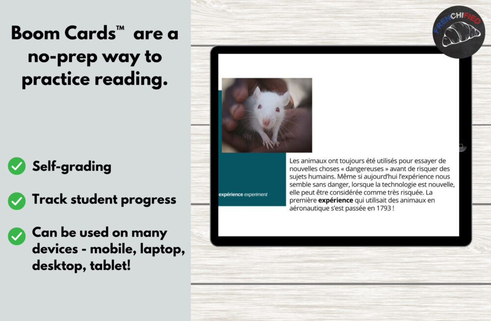 Animals in Space for Boom™ cards - French reading comprehension