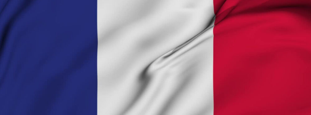Massive French Level 2 Everything bundle