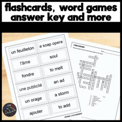 Alternative view of Extra French episode 5 worksheets - Une étoile est née