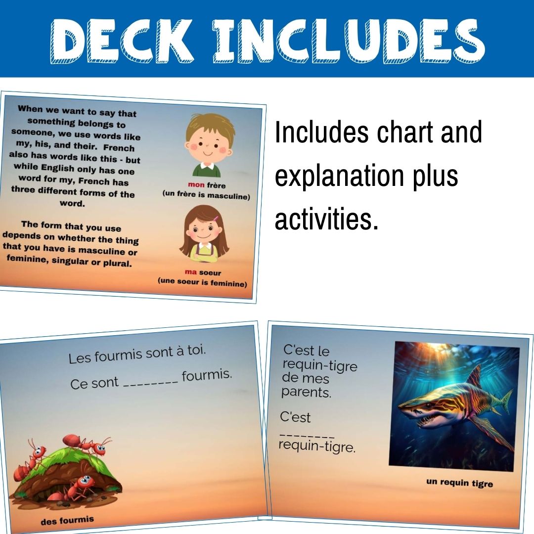 French possessive adjectives animal game - Boom™ Cards 4 French possessive adjectives animal game - Boom™ Cards - Image 4