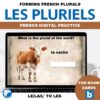 French plurals practice