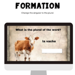 Alternative view of French Boom Cards to practice French plurals - le/la/l' to les