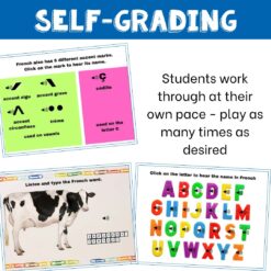 French Boom Cards to practice French alphabet, accent marks & spelling