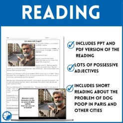 French possessive adjectives - Le Caca est à qui? reading comprehension